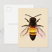 Realistische Honey Bee Art Illustratie Briefkaart (Voorkant / Achterkant)