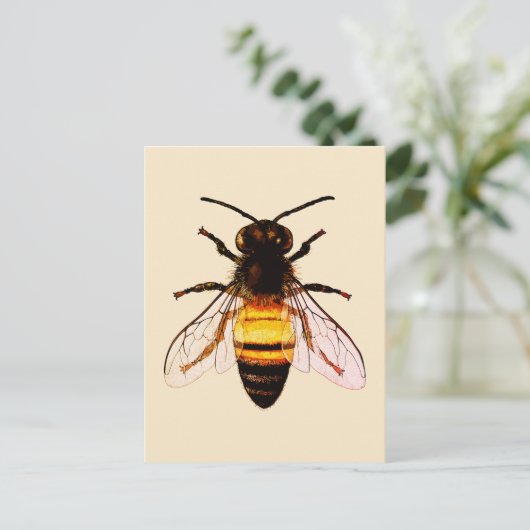 Realistische Honey Bee Art Illustratie Briefkaart (Staand voorkant)