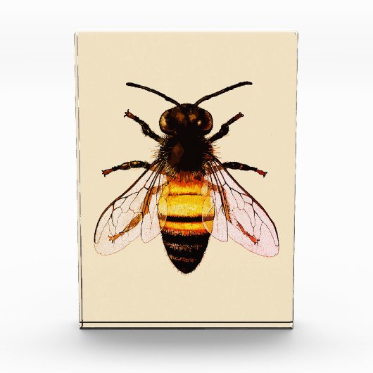 Realistische Honey Bee Art Illustratie Fotoblokken (Voorkant)