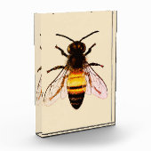Realistische Honey Bee Art Illustratie Fotoblokken (Links)