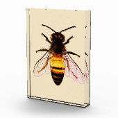 Realistische Honey Bee Art Illustratie Fotoblokken (Rechts)