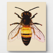 Realistische Honey Bee Art Illustratie Fotoplaat (Voorkant)