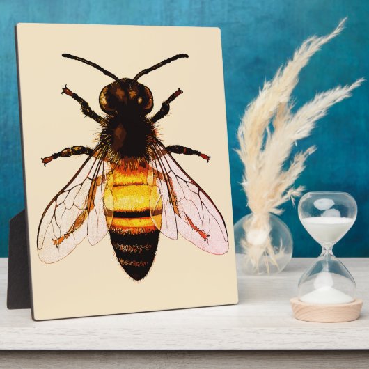 Realistische Honey Bee Art Illustratie Fotoplaat (Zijkant)