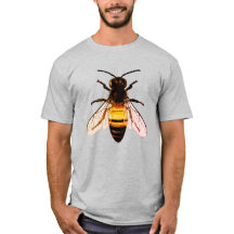Realistische Honey Bee Art Illustratie