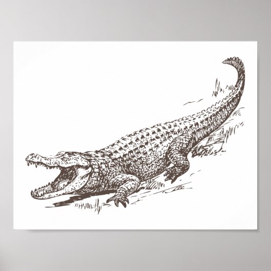 Realistische illustratie van alligator poster (Voorkant)