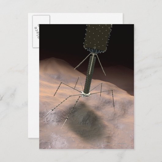 Realistische illustratie van bacteriofaag briefkaart (Voorkant / Achterkant)