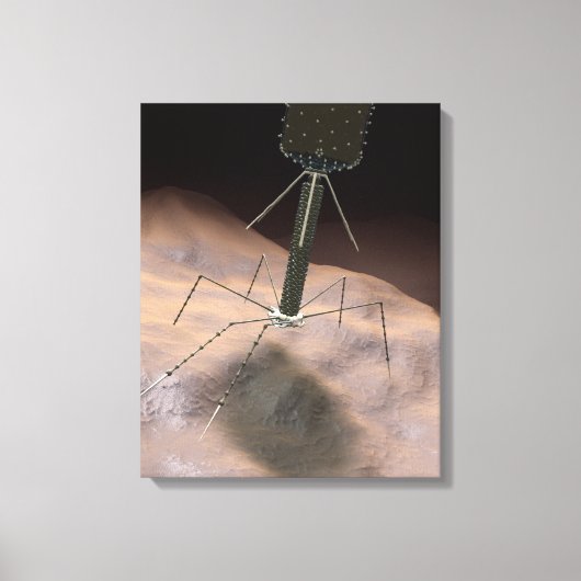 Realistische illustratie van bacteriofaag canvas afdruk (Voorkant)
