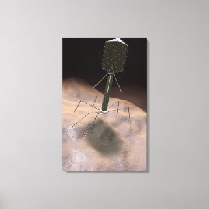 Realistische illustratie van bacteriofaag canvas afdruk