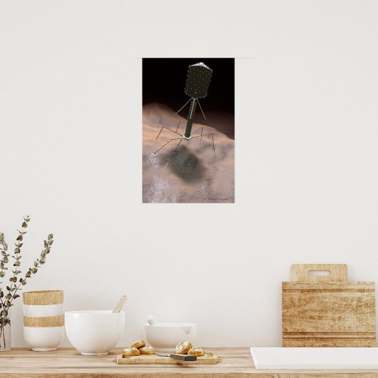 Realistische illustratie van bacteriofaag poster (Keuken)
