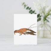 Realistische krayfish/Crawdad Briefkaart (Staand voorkant)