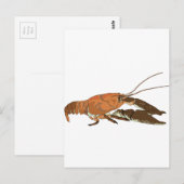 Realistische krayfish/Crawdad Briefkaart (Voorkant / Achterkant)