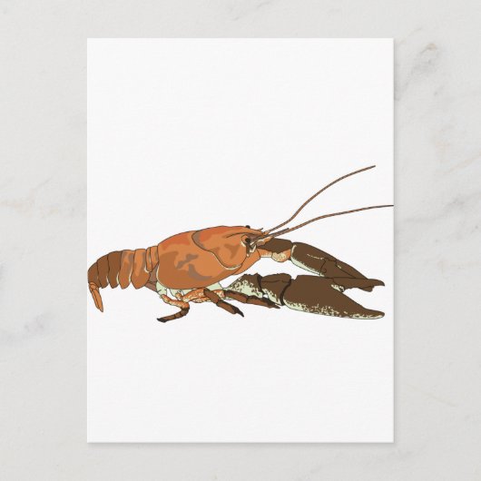 Realistische krayfish/Crawdad Briefkaart (Voorkant)