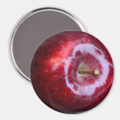 Realistische lekkere rode Apple ijskast magneet (Voorkant / Achterkant)