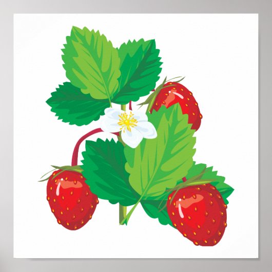 realistische sappige aardbeien poster (Voorkant)
