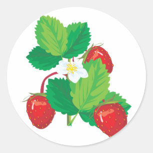 realistische sappige aardbeien ronde sticker