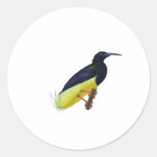 Realistische sticker van de twaalddraadparadijsvog