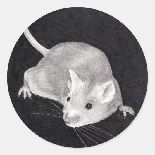 REALISTISCHE TEKENING VAN MUIS: STICKERS (Voorkant)