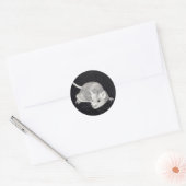 REALISTISCHE TEKENING VAN MUIS: STICKERS (Envelop)
