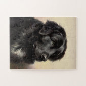 realistische verf voor Newfoundlandhond Legpuzzel (Horizontaal)