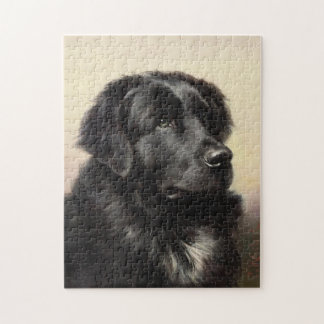 realistische verf voor Newfoundlandhond Legpuzzel