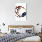 Realistische weergave van de oogspieren canvas afdruk (Insitu (Slaapkamer))