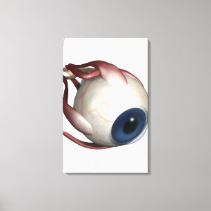 Realistische weergave van de spieren van het oog canvas afdruk