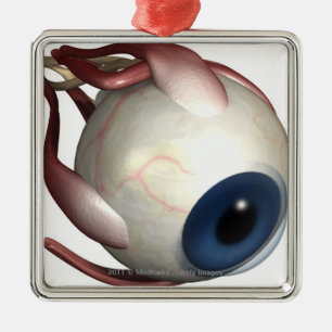 Realistische weergave van de spieren van het oog metalen ornament