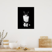 Realistische zwart-witte kat poster (Keuken)