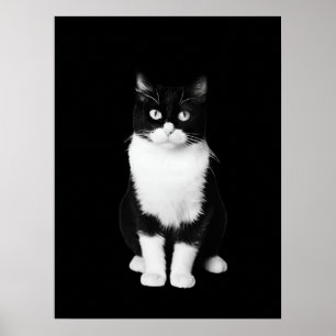 Realistische zwart-witte kat poster