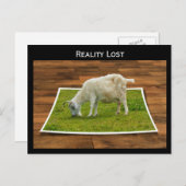 Realiteit verloren geit grazen op papier gras Brie Briefkaart (Voorkant / Achterkant)