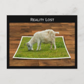 Realiteit verloren geit grazen op papier gras Brie Briefkaart (Voorkant)