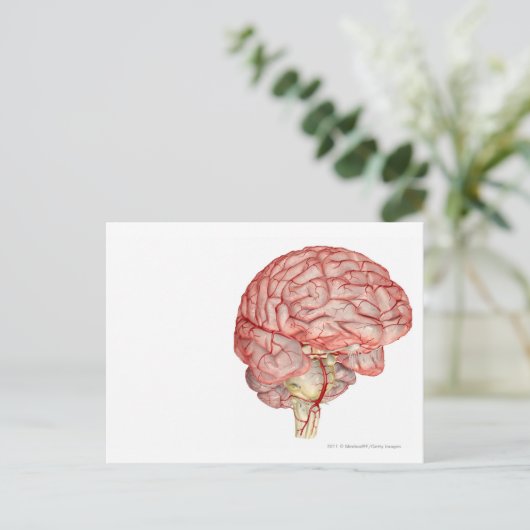 Realitische weergave van het menselijk brein briefkaart (Staand voorkant)