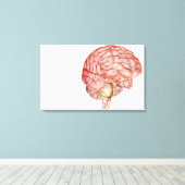 Realitische weergave van het menselijk brein canvas afdruk (Insitu (Houten vloer))