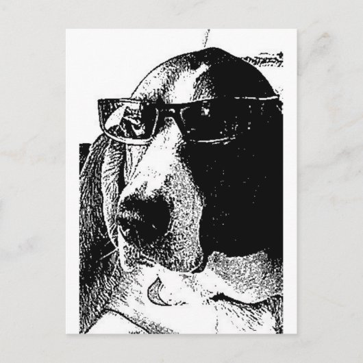 REally cool basset hound Briefkaart (Voorkant)