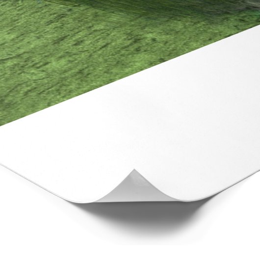 Realms of Prince Tobo Poster (Hoek)