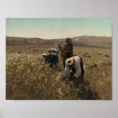 Reaping van de gerstoogst op de velden van Bethleh Poster (Voorkant)