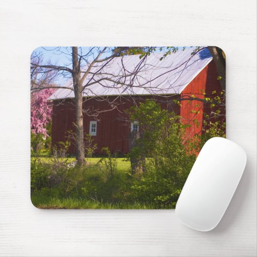 reb barn muismat (Met muis)