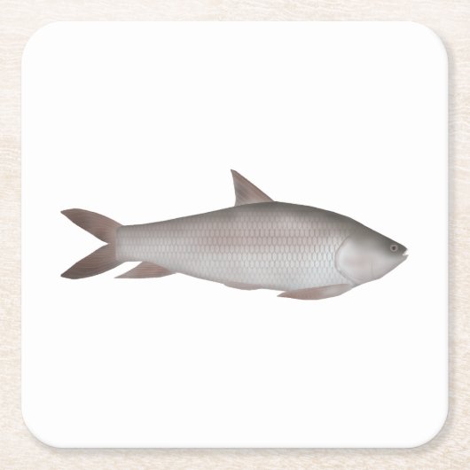Reba Carp Kartonnen Onderzetters (Voorkant)