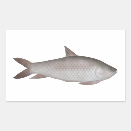 Reba Carp Rechthoekige Sticker (Voorkant)