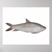 Reba Karper Poster (Voorkant)