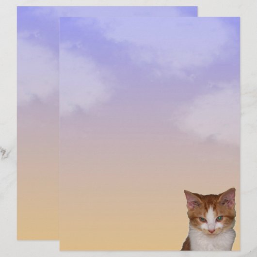 Reba's Cat-itude Stationery (Voorkant / Achterkant)