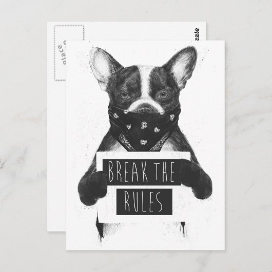 Rebellen hond briefkaart (Voorkant / Achterkant)