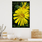 rebellenbladen poster (Keuken)