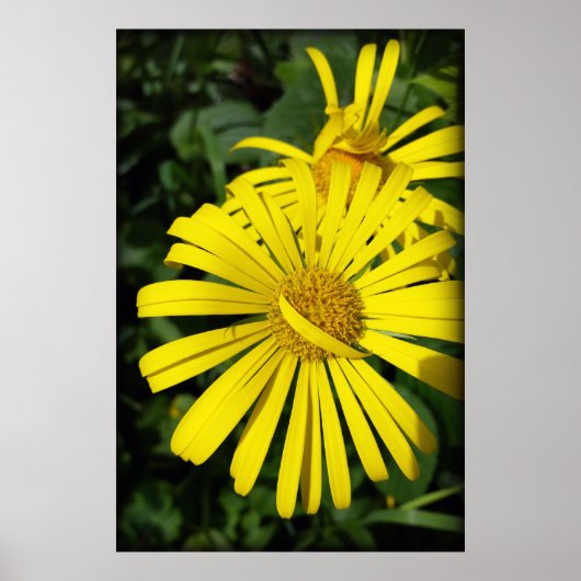 rebellenbladen poster (Voorkant)