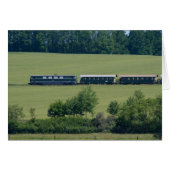 Reblaus Express (Voorkant Horizontaal)
