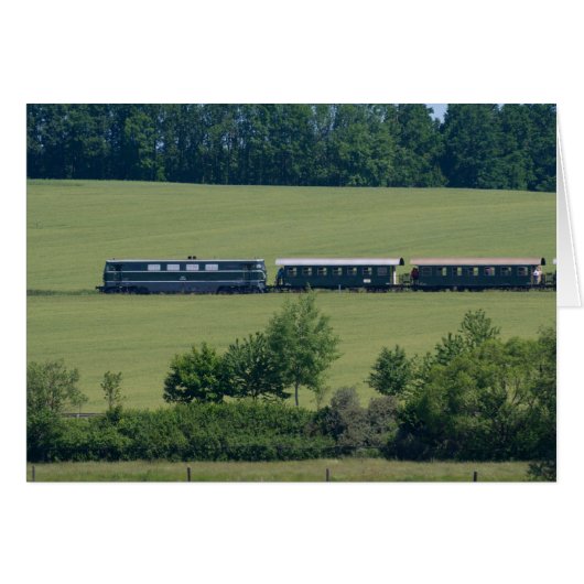Reblaus Express (Voorkant Horizontaal)