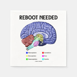 Reboot Noed Brain Anatomy Geek Humor Servet