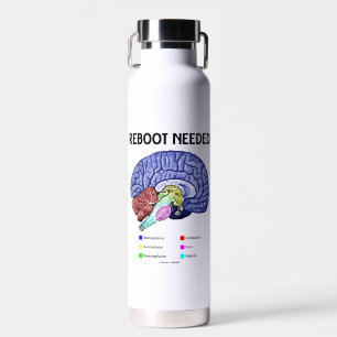 Reboot Noed Brain Anatomy Geek Humor Waterfles