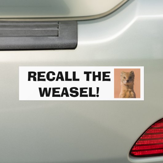 Recall Gouverneur Walker Bumpersticker (Op auto)