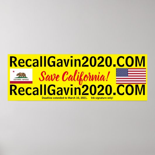 recallgavin2020 36x12 poster (Voorkant)